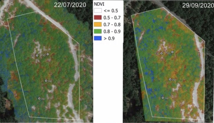isafomcnr's tweet photo. #laboratorio di Supporto all'Agricoltura di Precisione #isafom Dr.Antonello Bonfante #progettoPONOT4CLIMA collaborazione Dr Buonanno.🎥Criticità’ di un bosco di Farneto sito in San Paolo Albanese (PZ) nel parco del #Pollino. #drone mavic air 2." Video su
https://t.co/q5OzpwZgpd https://t.co/PaNo3lxolp