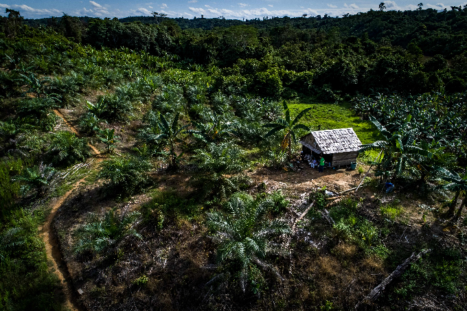 Since 2000 oil palm had both positive & negative impacts on villages in Kalimantan. Village livelihood systems and forests nearby were key. Communities with large-scale farming were ready for the market, so largely benefited. Those still reliant on forest subsistence did not. /3