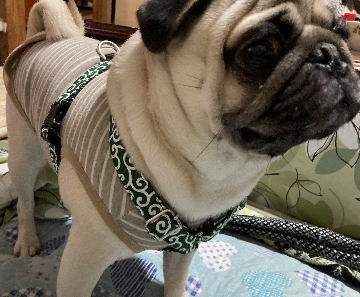 すず首輪製作工房