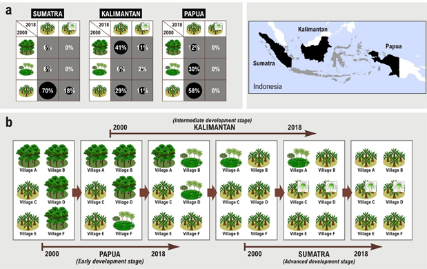 Our new evaluation covers most Indonesia. 36,311 villages in Kalimantan, Sumatra & Papua! Latest census; latest maps. 18 indicators over 18 years, tracking changes from b4 plantations were even planted to years after they were RSPO certified.The matching is really complicated! /4