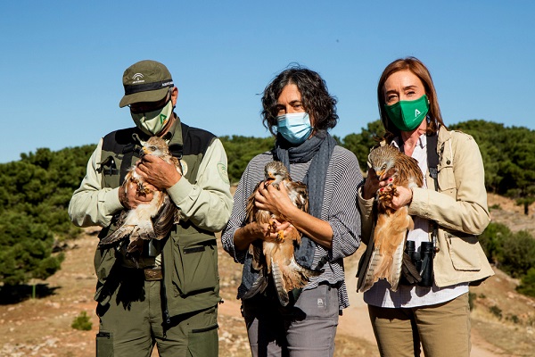 CuadernoAgrario's tweet photo. +INFO▶️ @AgriculturAnd @MedioAmbAND
✅ #Agricultura y el @AytoAdra profundizan en la denominación de calidad diferenciada para el #pulposeco 🐙
✅ @AndaluciaJunta y la asociación @GREFA_Fauna colaboran en la liberación de tres milanos reales 🦅
➡️ https://t.co/FhteJmbdOm https://t.co/JY2LWdyaZl
