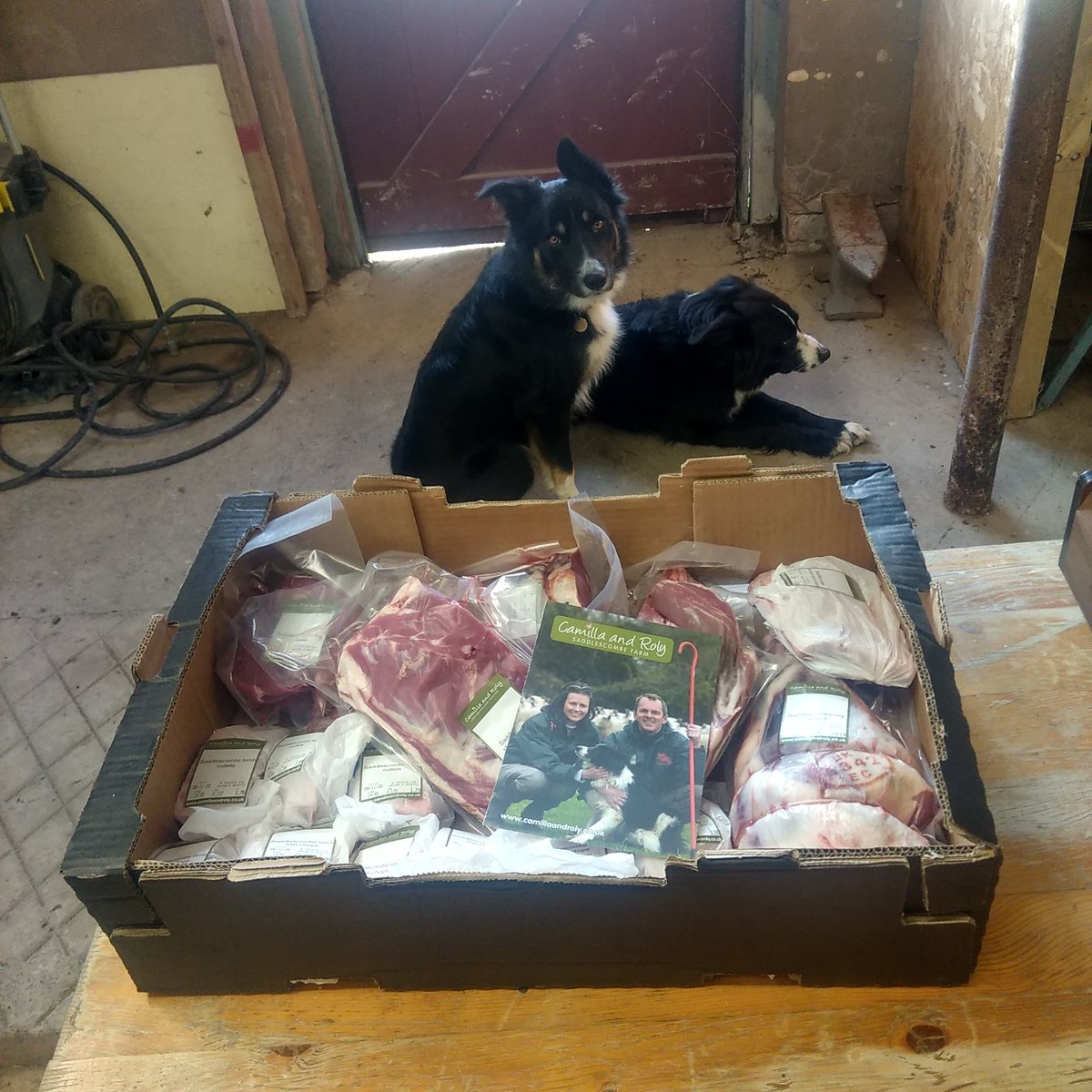 Due to the new restrictions later this week we have lamb that was destined for restaurants looking for new homes. Small £45, medium £80 and large £150 lamb boxes available. Free local delivery or we can courier. RT please 👍 Dogs not included 😊