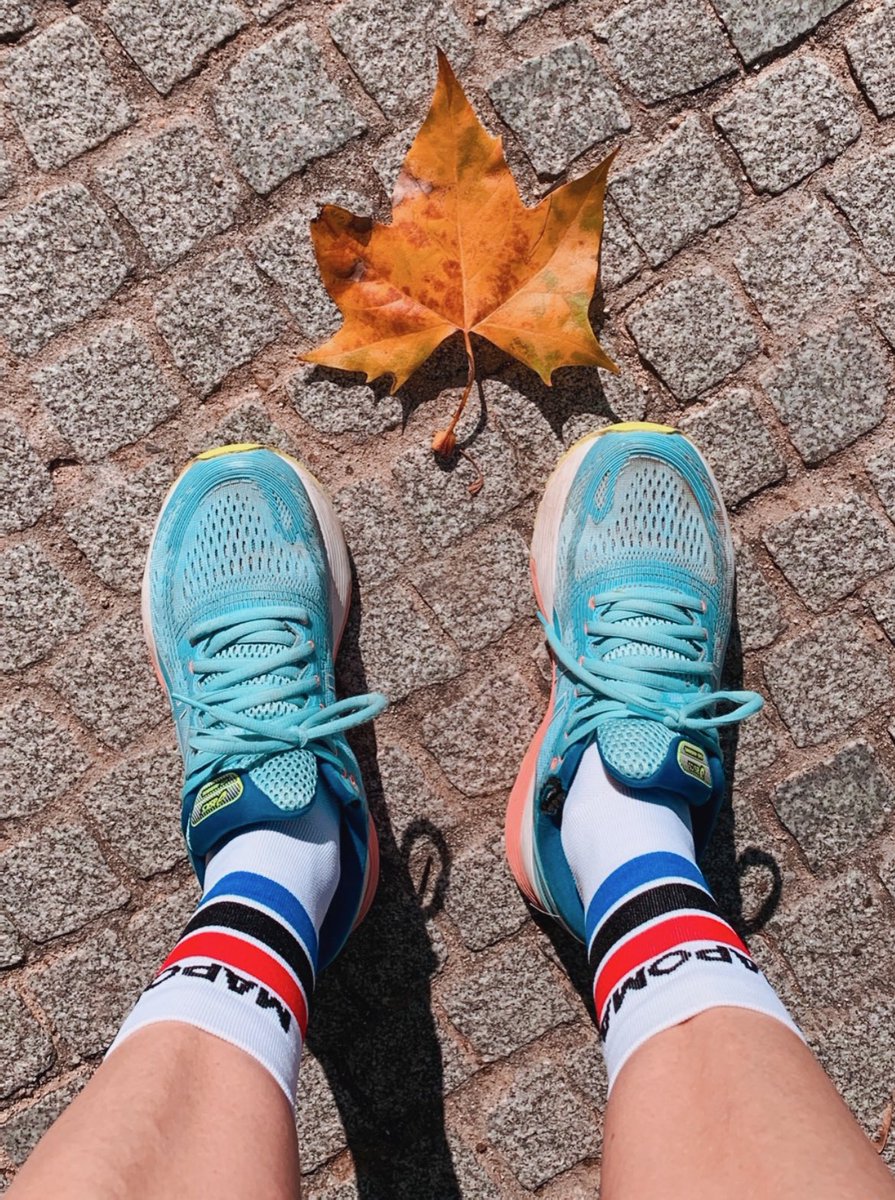 AD_MAPOMA's tweet image. 🍁NOVIEMBRE🍁
Nuevo mes para llenarlo de kilómetros y nuevos objetivos. ¿Cuál es el vuestro?

#MapomaRunners #MapomaTraining