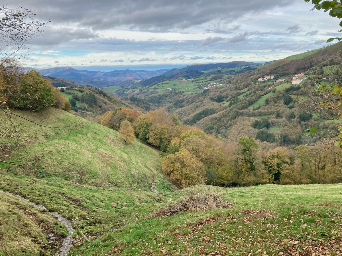 TurismoTineo's tweet photo. Seguimos recibiendo instantáneas del otoño en nuestro concejo #TineoTeEspera #Tineo 

📷 Ángel Casero

#Asturias #España #Spain #otoño🍁 https://t.co/dZ1CcyuPKg