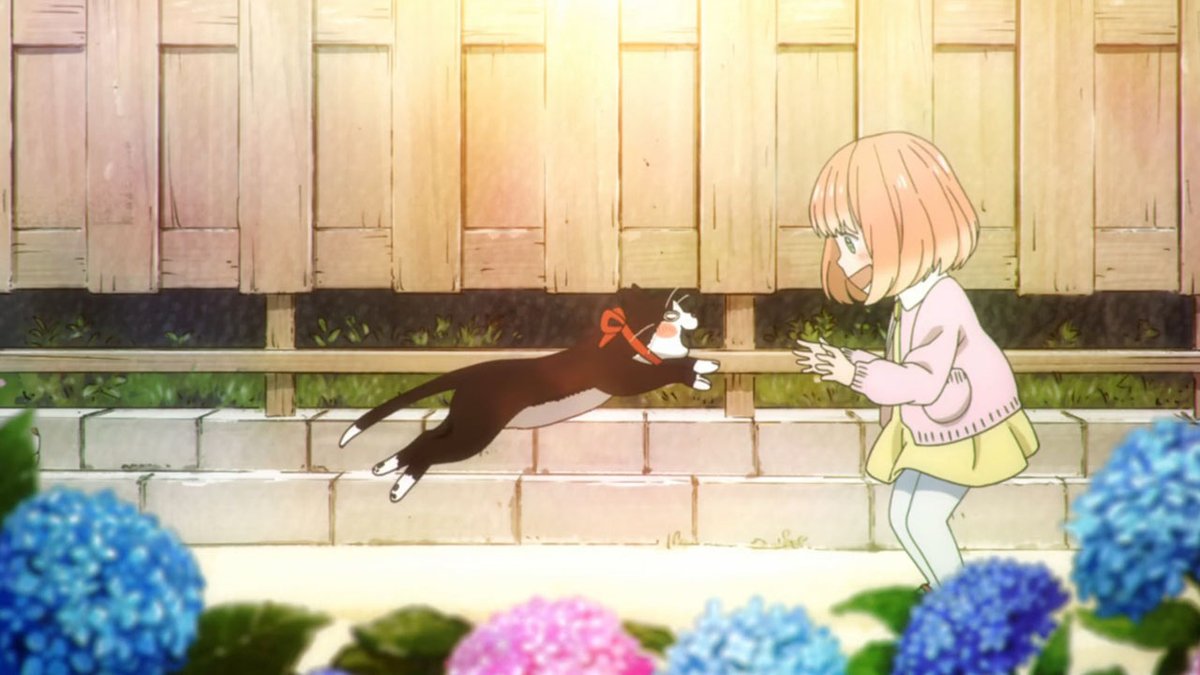 Thread of cool shots from 3-gatsu no lion