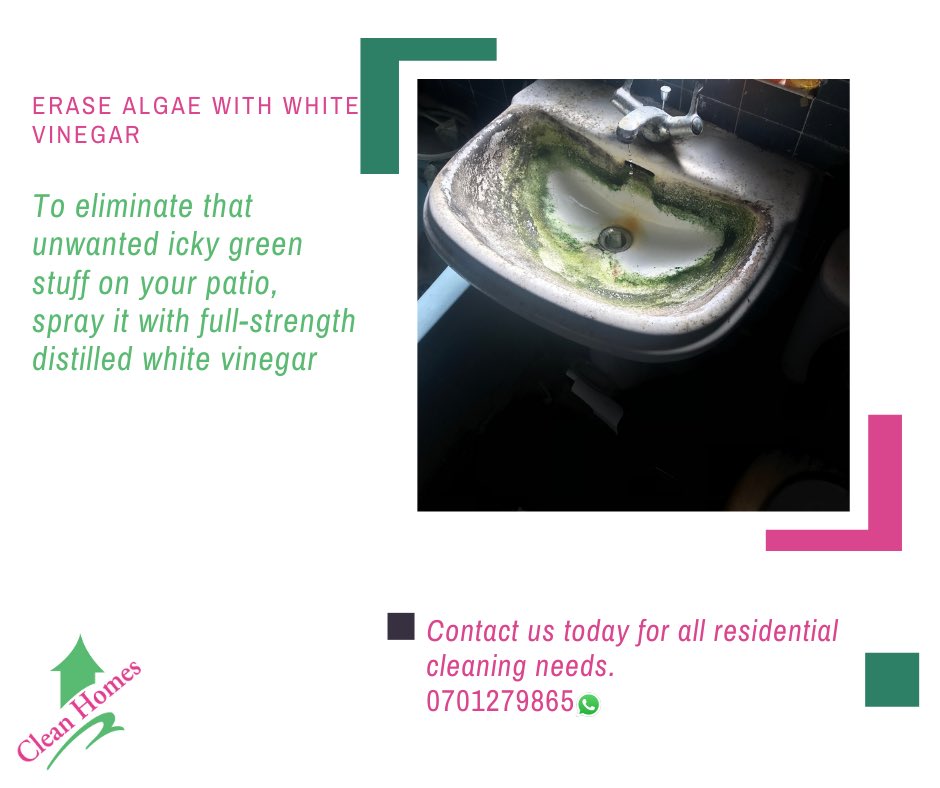 CleanHomesUG's tweet photo. #vinegar #cleaninghacks that could #save you #money.
Contact us today for all your cleaning needs 070129865 https://t.co/tvybyt3Cw3