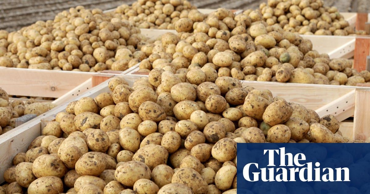 LutonTweets tweet media