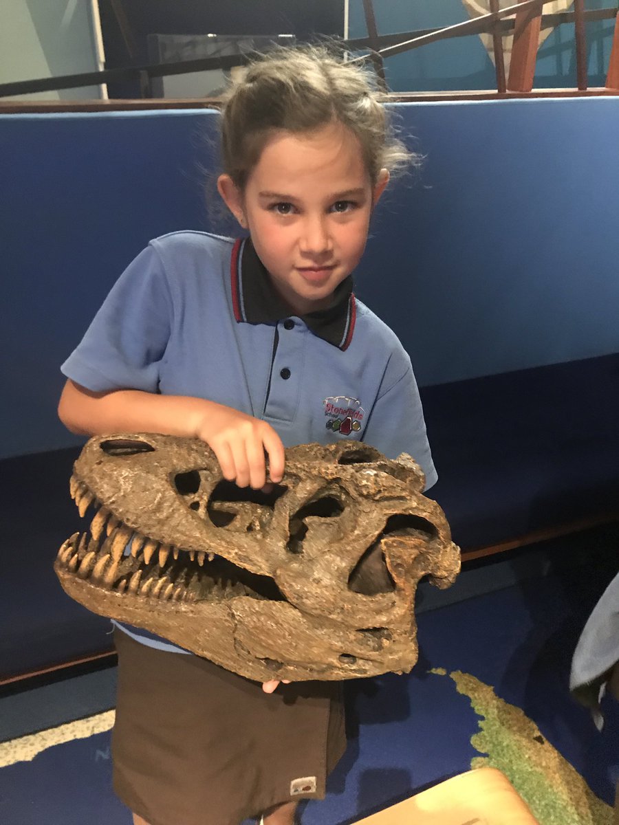 amanda_lunken's tweet photo. A fantastic day at Auckland Museum learning about fossils and how they are formed @StonefieldsSch https://t.co/DzqLgrA2Sq