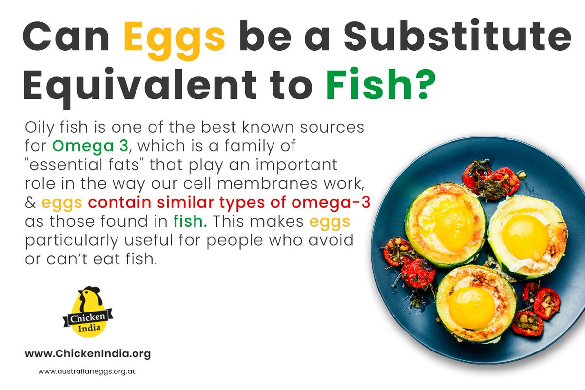 ChickenIndiaOrg's tweet photo. If fish is something you love to consume for health reasons but can't due to allergies/preference , try eating eggs! They provide you with similar nutrients packed with flavor and full of energy!
#Chickenindia #Eggimmunity #Eggnutrition #Fishsubstitute https://t.co/IHQZHG6GxJ
