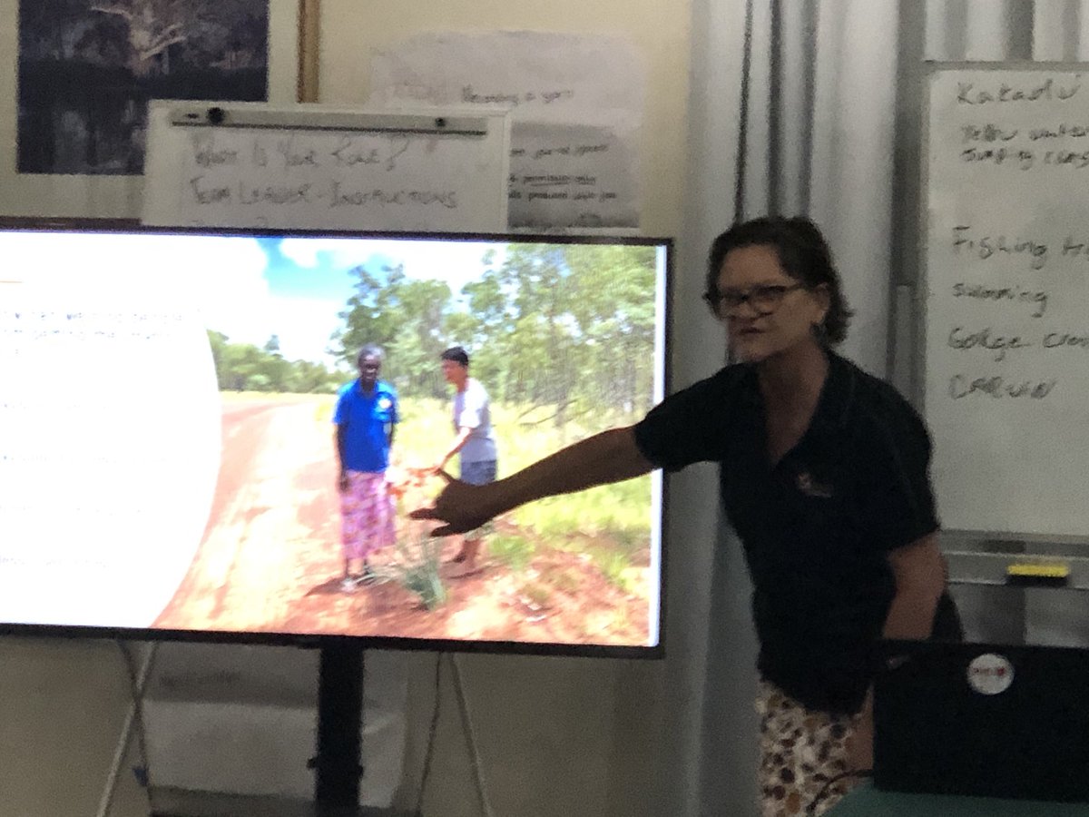 Diana Mosca tweet media