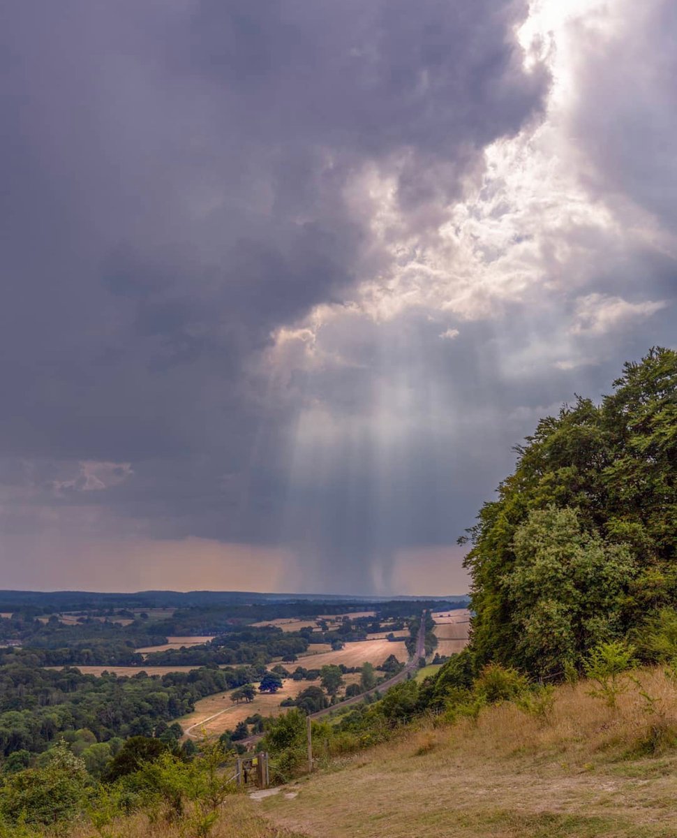 Autumnal showers from afar at Ranmore Common. A beautiful sight whilst exploring our Surrey Hills (Area of Outstanding Natural Beauty)! 🌧️⁠ 📸: nickoakleyphoto⁠
<a href="/visitsurrey/">Visit Surrey</a> <a href="/molevalleydc/">Mole Valley District Council</a> <a href="/visitengland/">VisitEngland</a> <a href="/VisitSEEngland/">Visit South East England</a> <a href="/surreylifemag/">Surrey Life</a> <a href="/surreylive/">SURREY LIVE NEWS</a>  <a href="/SurreyHillsAONB/">Surrey Hills</a> #HelloDorking