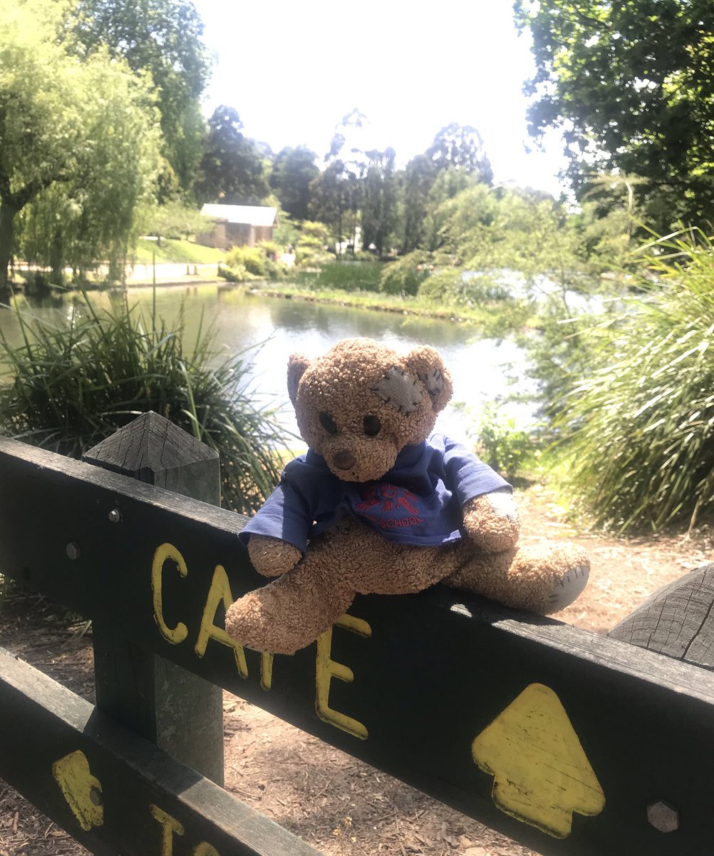 RennisonKate's tweet photo. @communitypresch Travelling Ted visited the beautiful Dandenong Ranges today. Here he is at Emerald Lake Park. #travellingteddownunder https://t.co/y7HbBhw9aK