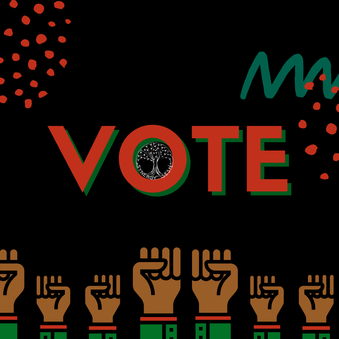 synergysesh's tweet photo. As individuals, we each have very little control over what happens to other people or the world around us on a daily basis and that's why casting your ballot is so crucial. Voting gives us all a collective say in how we want to be governed and who gets to make big decisions that https://t.co/as66tVE1wh