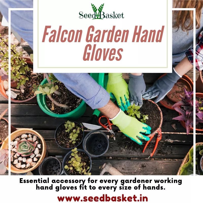 seedbasket's tweet photo. Falcon Garden Hand Gloves: #handgloves #falcongardenhandgloves #gardening #garden #gardener #homegardening #kitchengardening #terracegardening #vegetables #vegetableseeds #nativevegetableseeds #fruitseeds #flowerseeds #seedbasket #agriculture Order Online: https://t.co/200m0ojBgV https://t.co/VhBClwynf2