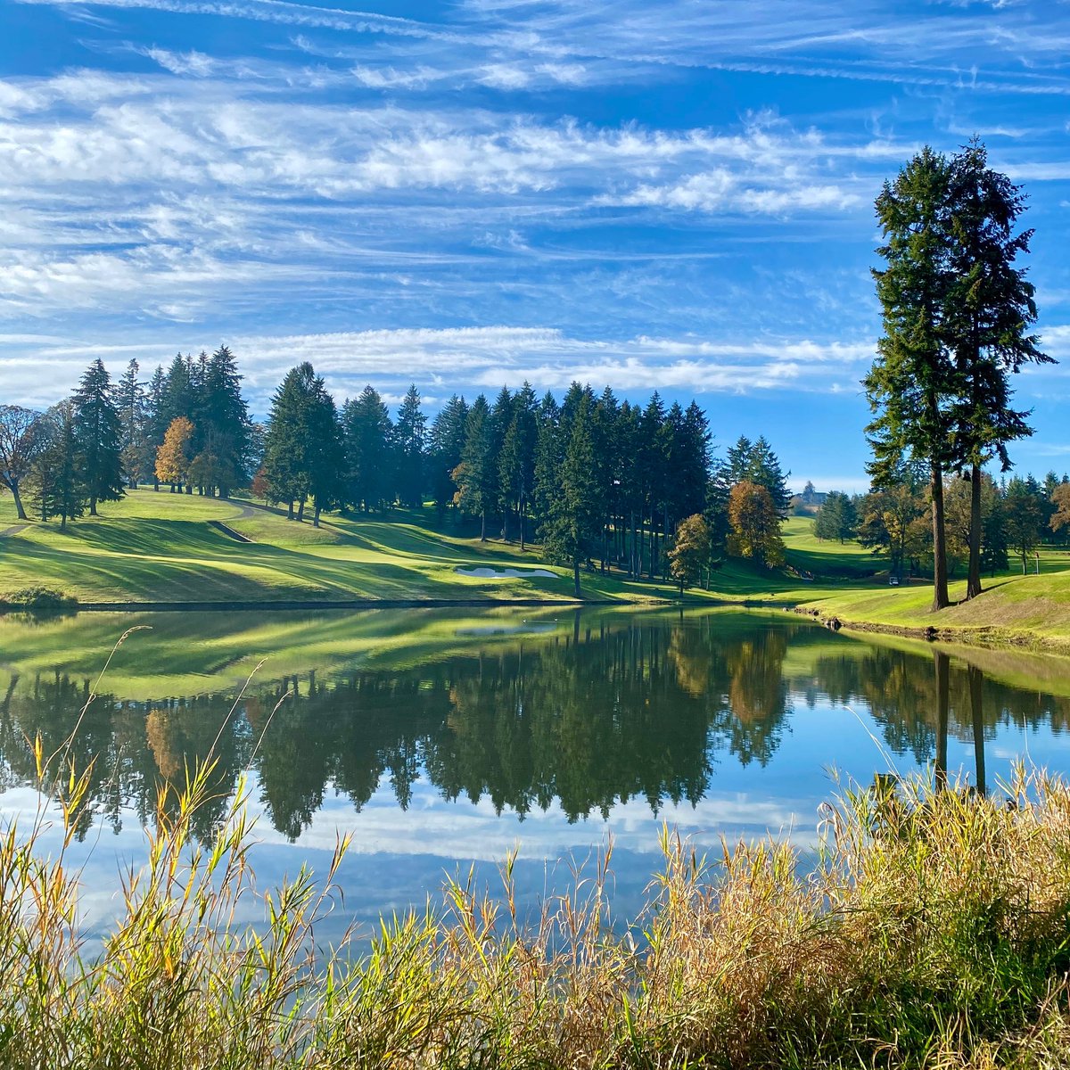 Woke up this way. #grateful #golf #oregon What a day!