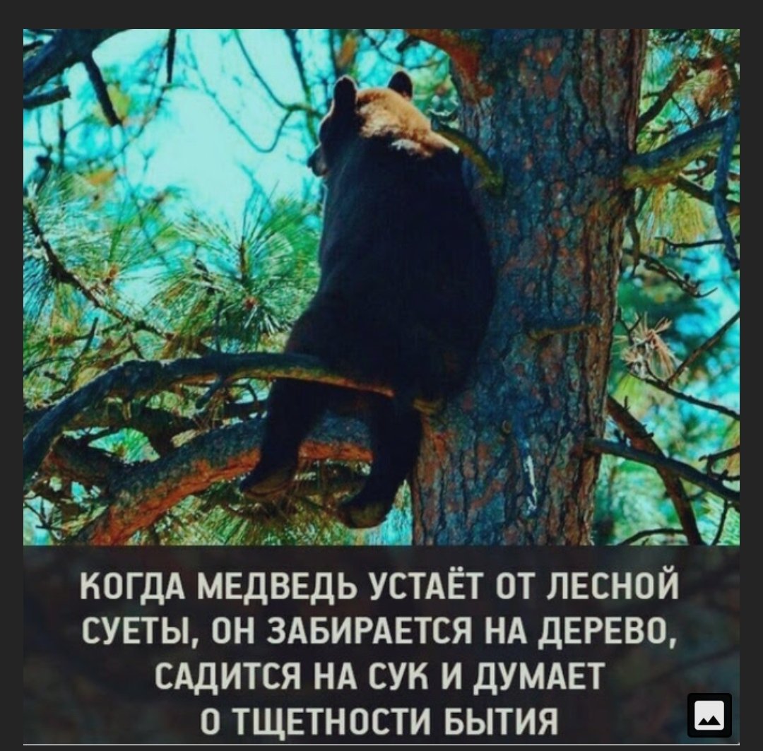 Известный старец 🍄 tweet media
