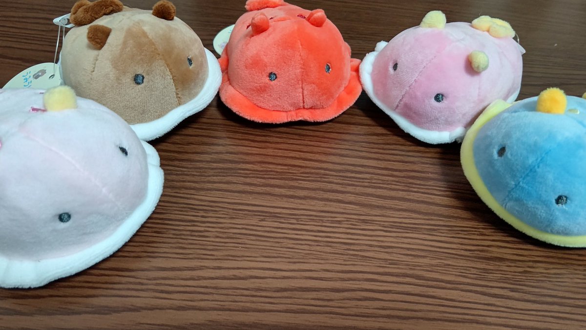 藤黄わかば みどりいろレトリーバーのvtuber 数ヶ月ぶりにufoキャッチャーしたよ 推し いちごミルクウミウシ が一番奥にいたから諦めようと思ったんだけどめちやチョロい台だったから前にいた子みんなつれてきちゃった 左からいちごミルク