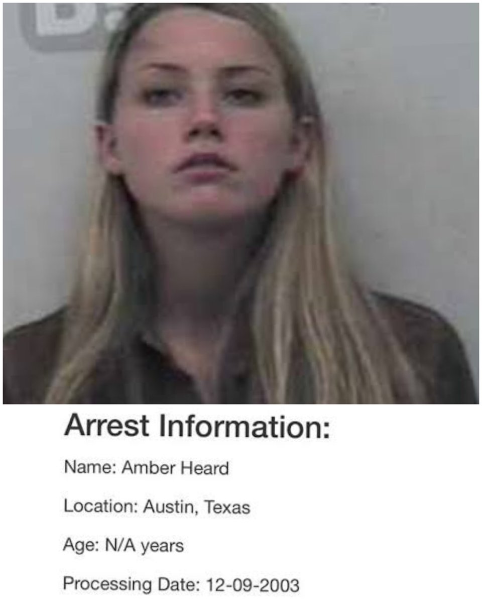 0517pomta's tweet photo. Why I think Mr "Justice" Nicol's judgment is "Injustice" : a thread
1)IGNORANCE or LIE
He said Amber Heard has no criminal record.
That's not true.
Amber arrested in 2009 on charge of hitting her ex girlfriend Tasya van Ree.
Also she was arrested for negligent driving in 2003. https://t.co/VCxt9RzU9g