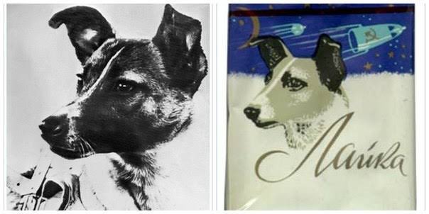 駐日ロシア連邦大使館 63年前 生き物を乗せたソ連の衛星スプートニク2号が発射されました 軌道飛行を果たした初めての動物は ライカ犬です その犬は英雄的に死を迎える運命でしたが その飛行があったからこそ人間の宇宙飛行への道が拓けたの