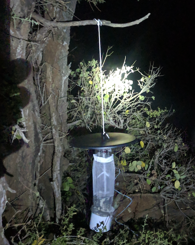 ZoonoticDisease's tweet photo. We’re excited that work in our #zoolink @ZELSprogramme looking at the role of tick & mosquito vectors at the human-livestock interface is starting to mature. One paper accepted (watch this space!) another submitted. Great collaboration between @LivUni_IVES @icipe @UPTuks @ILRI https://t.co/hVcRj7tH9w