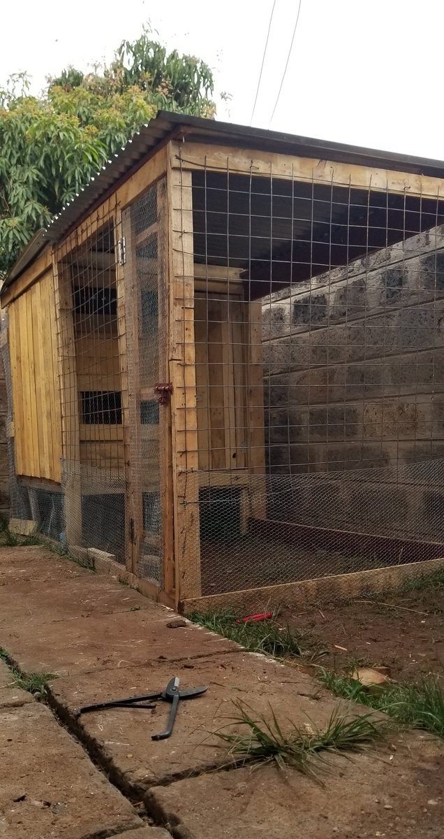 What I wanted         vs           What I have