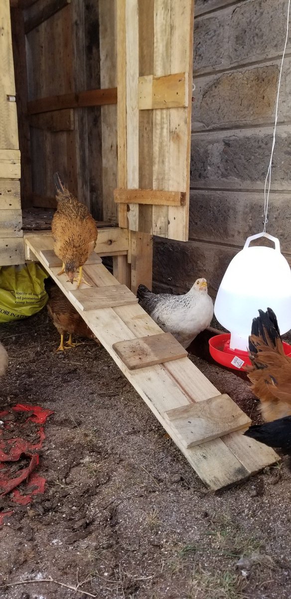 What I wanted         vs           What I have