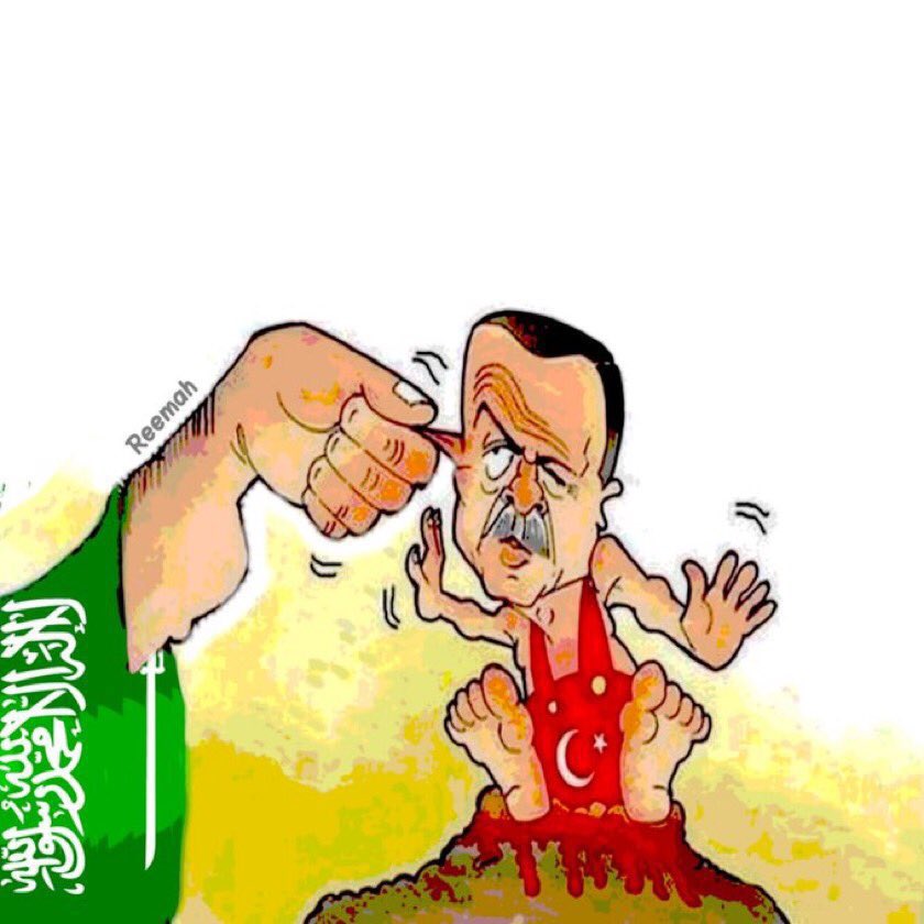 faiz1397's tweet photo. @aa_arabic تأديبكم لا يزال مستمراً ايها العلج
#المقاطعة_مستمرة_لتركيا https://t.co/yDcf2j9dsh