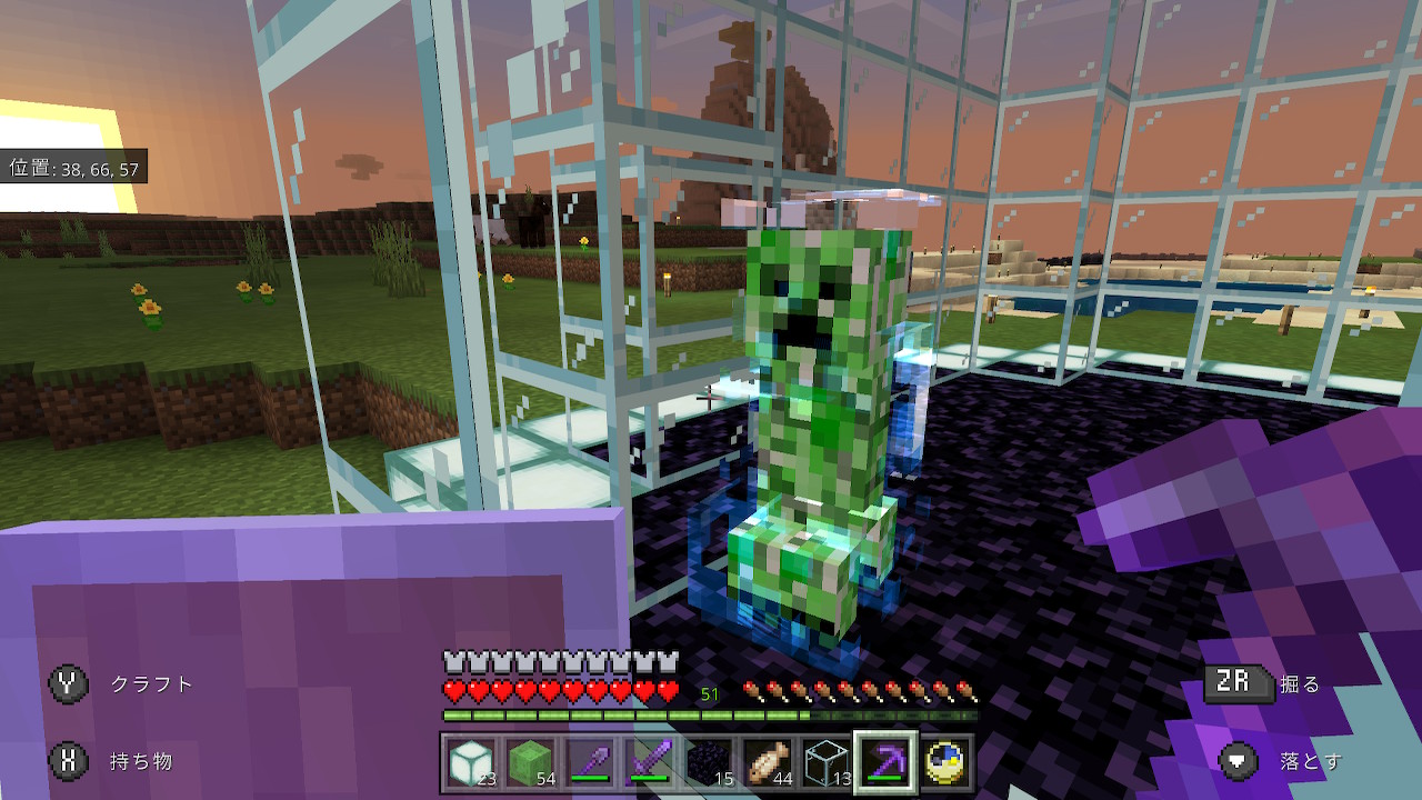 ジ アンボイナ 帯電クリーパー保存 Minecraft マイクラ マインクラフト Nintendoswitch ジ アンボイナ 帯電クリーパー保存 Minecraft マイクラ マインクラフト Nintendoswitch