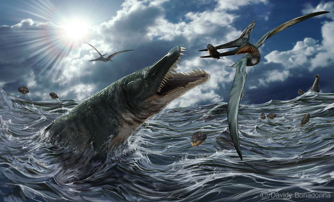 Paleovirologist's tweet photo. In our latest paper we identify the oldest EVE yet to be described - a #hepadnavirus from the late Paleozoic Era. #Paleovirology #VirusEvolution #Genomics #Evolution
https://t.co/hbSLVWWCgr https://t.co/mXvJVsK3pQ