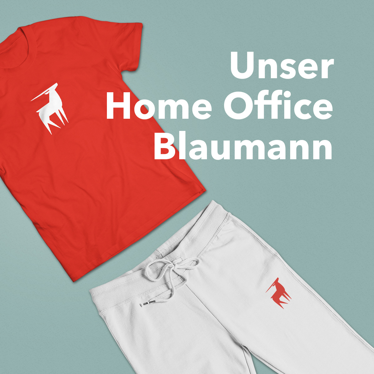 antiloopgmbh's tweet photo. Unsere Dev-Uniform für's Home Office 😉 Viel Spaß beim Coden von Zuhause aus an alle Entwickler da draußen! 👨‍💻👩‍💻 https://t.co/t4do0nxyLH
