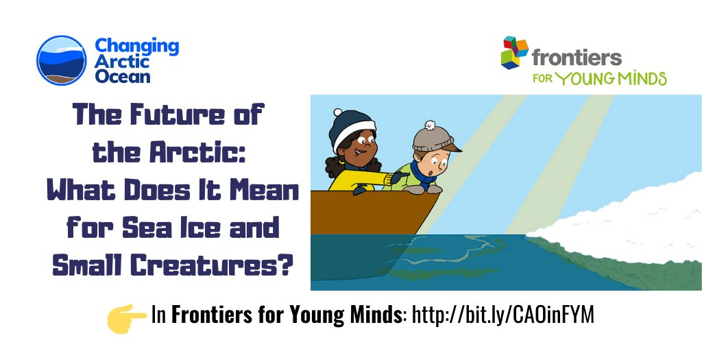#NewPaper by @HannaKauko & co-authors in the “Changing Arctic Ocean” collection @FrontYoungMinds 🌊“The Future of the Arctic: What Does It Mean for Sea Ice and Small Creatures?” #scicomm for kids 👉bit.ly/CAOinFYM @NERCscience #UKinArctic @BMBF_Bund #ArktisImWandel