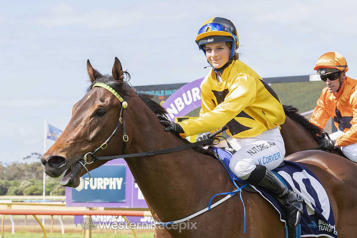 SON SON - Bunbury Tues 3rd November <a href="/BunburyTurfClub/">Bunbury Turf Club</a> #WesternRacepix #CupDay