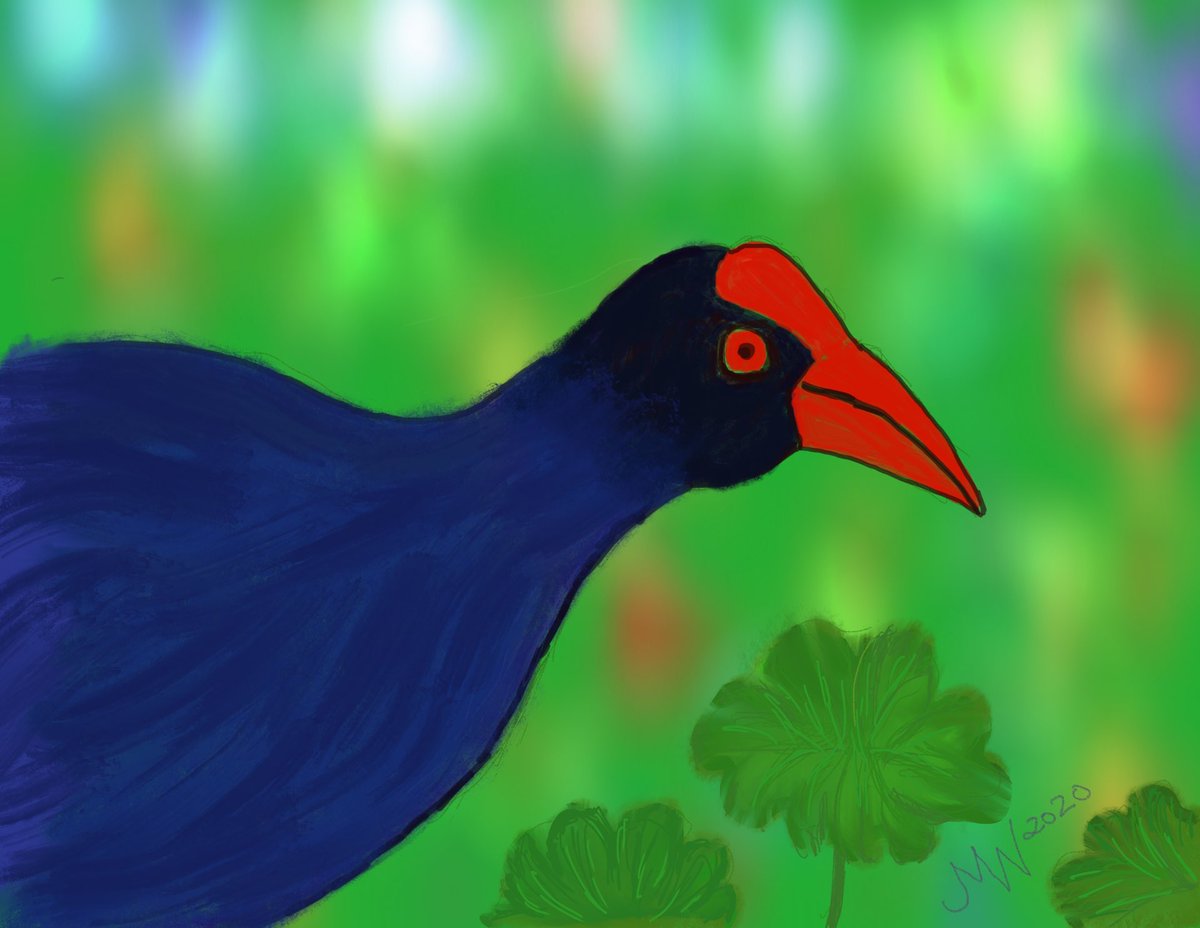Ibujen63's tweet photo. #colour_collective #limepunch I know this is late but I have been travelling with limited wifi and it didn’t send last week. This is my swamp hen on #procreate https://t.co/ydO9fBgPsV