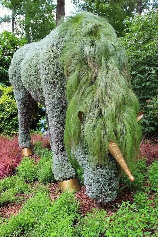 NgoRaArt's tweet photo. #BotanicalDesigns #BotanicalArt https://t.co/mgKNHC4Cng