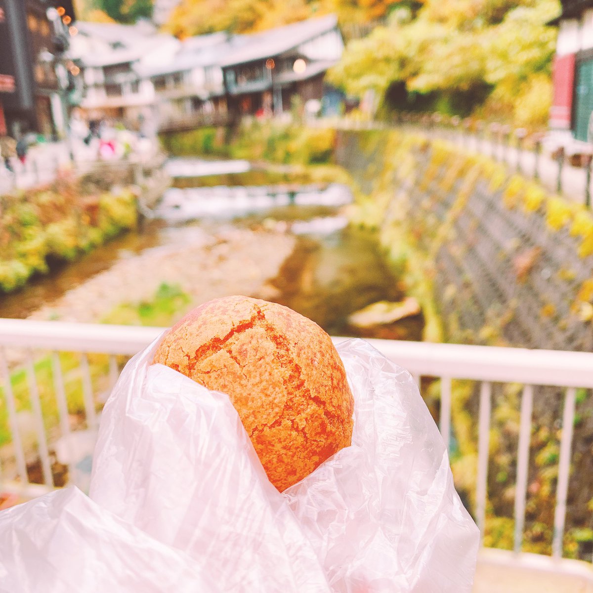 揚げまんじゅうとカリーパン食べて、銀山登って銀坑道を探検してきました(๑╹ω╹๑ )
自然の中でマイナスイオンを感じた気がします(`・∀・')✨
この後の夕ご飯も楽しみ〜(*'꒳`*)❤️
 #山形聖地巡礼ツアー 