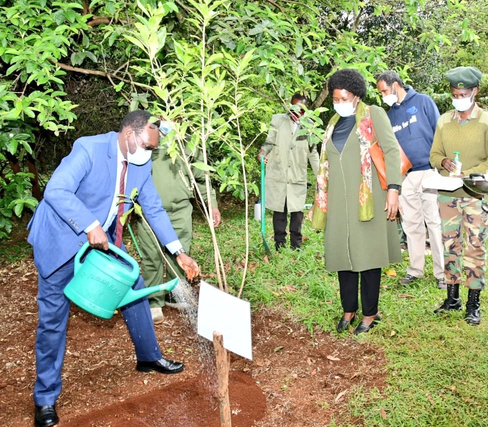 Environment_Ke's tweet photo. Happening now the Launch of the Year of Climate Action #YOCAKe tree planting session between Kenya & the British Government @Environment_Ke CS Keriako Tobiko is represented by PS @Kiptoock, @UKinKenya
is represented by @JuliusCourt #TreesForBetterLives https://t.co/UoFmJKkLq5