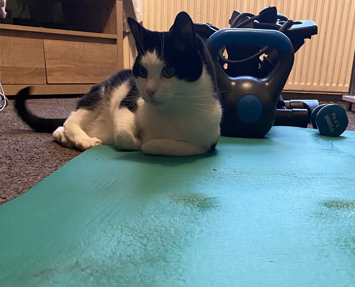 49_lyn's tweet photo. Work out 🏋️♀️ done with my little buddy cookie #OutpatientsGetFit #G4orce @TrudyElletson @heslop_kirsty @sharm @Nazish1981 @FionaHornsby https://t.co/BA5mFmEZZu