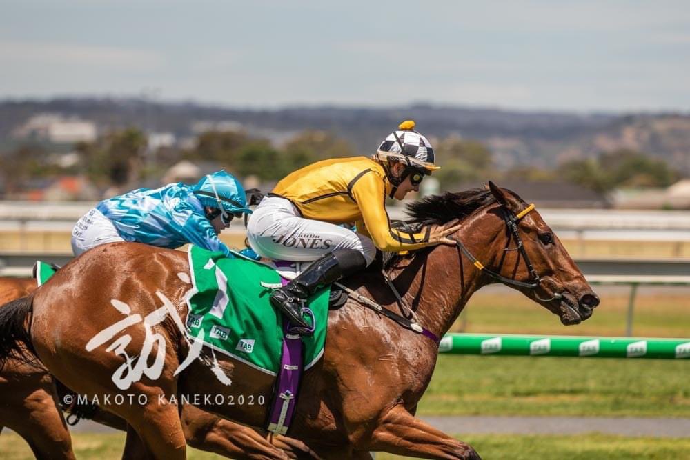 jessecrewdson's tweet photo. Owning a winner on Melbourne Cup day reckon this bloke is in for a big prep #Picargo https://t.co/R2GdEtL66I