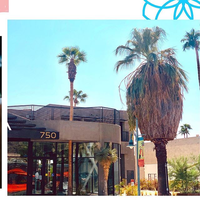 cafelajefa's tweet photo. We are so ecstatic to see our vision coming alive
•
We love our community and we can’t wait to serve you a delicious cup of #coffee at our grand opening
•
We hope all of you are staying safe &amp; healthy!

#CafeLaJefa #BossCoffee #comingsoon #cafelajefa #cajelajefacoffeeshop https://t.co/Kw3qhz6OpQ