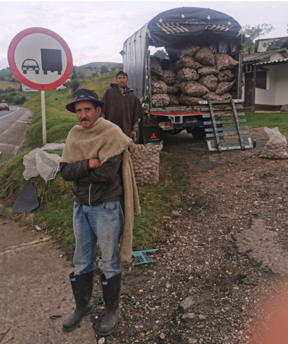DENUNCIA !!!
65.000 toneladas de papa, segun fedepapa, autorizo el titere duque importar de diferentes paises entre ellos belgica, de mala calidad, pequeña y sin control de calidad, a precios muy bajos, favoreciendo a esos paises en su economia, sin importarle un carajo a Col. https://t.co/uVW3y4aqq8