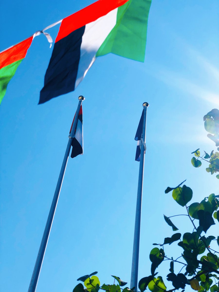 Safa British School tweet media