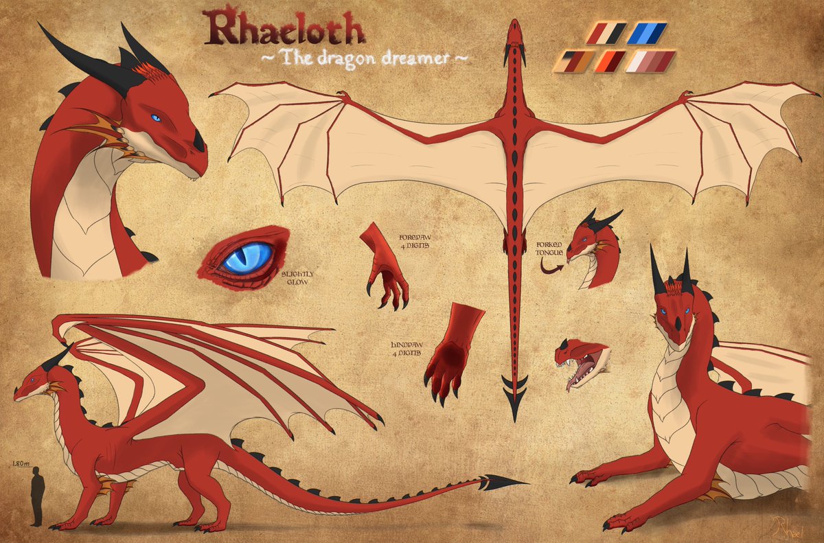 rhaeloth's tweet image. Not even 8 months later, I reworked this reference sheet.

For the record, I always wanted to represent this red dragon from a few angles since my first dreams.
I couldn&apos;t afford a single commission at the time, so I decided to start drawing...
And after 14 years now, it&apos;s done!