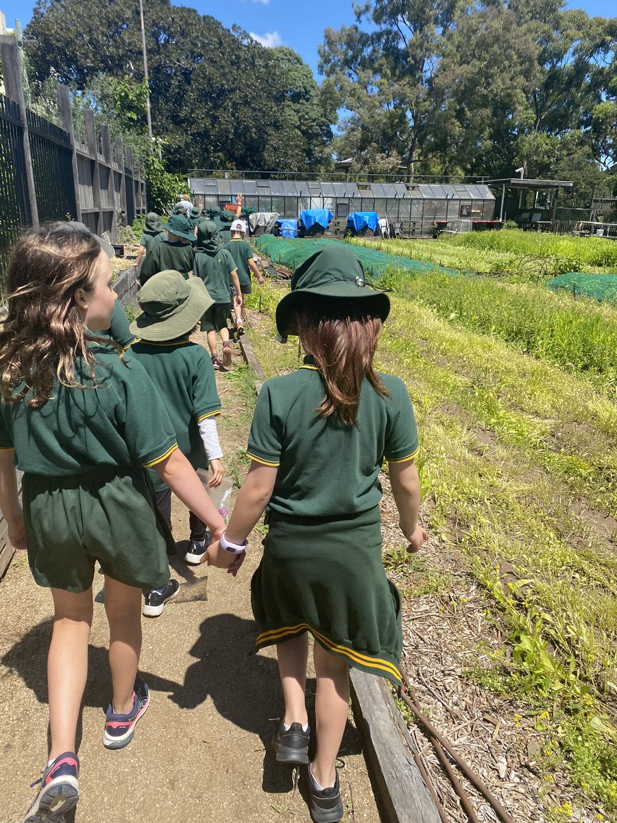 Emus2021CPS tweet media