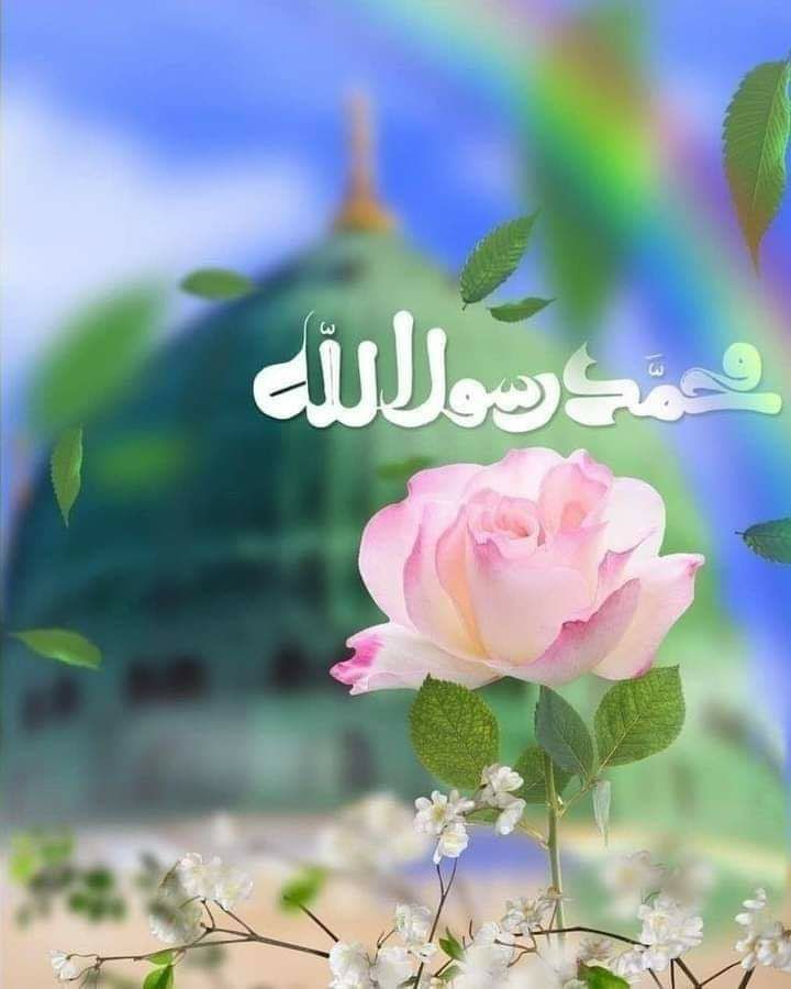 اليوم تسجد ذرات العشق لرب السموات العلى وينادي جبريل مبشرا الملا ولد أبا الزهراء محمد شهد القلب أذان بشهادة لم تكن قائمة الأذان يعلو ويصدح ب أشهد أن محمدا رسول الهدى أشهد إن طه خير الخلق أشهد أنه الحق  اليوم الغرام يصلى عليه تسبح طيور مكةلمن على العرش استوى🌸
#ولادة_الرسول_الاعظم