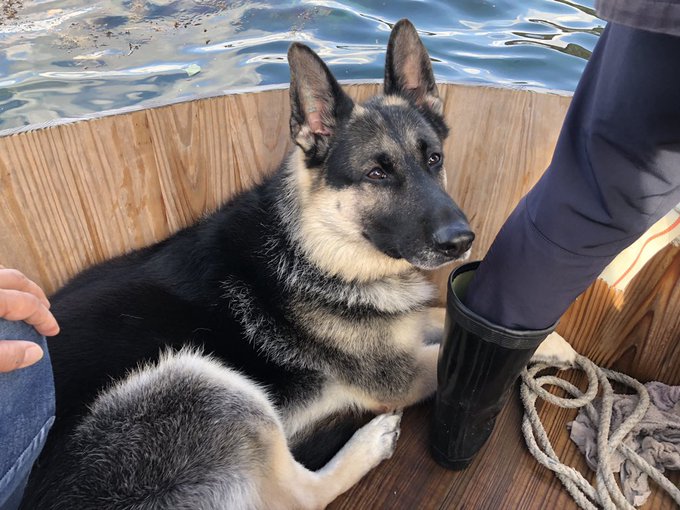 ゴールデンカムイ聖地巡礼のtwitterイラスト検索結果