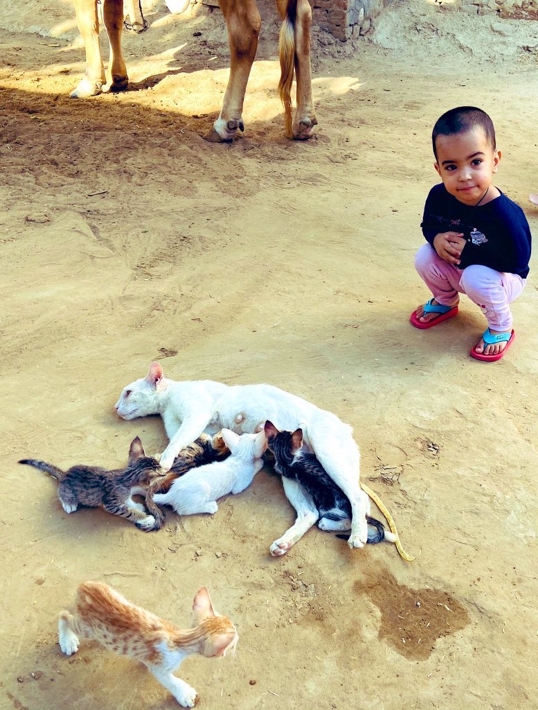 Here she is learning the ‘language’.