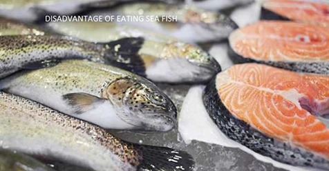 foodbehind's tweet photo. People can be exposed to this #toxin in a number of ways, such as breathing in #mercury_vapors during #mining.
#fish #shellfish #animals #mercury #water_pollution
#FoodRisk #Sea_Fish #Mercury_Poisoning #anxiety #memory_problems #muscle_weakness #seafood
https://t.co/uLm20tKVr4 https://t.co/Yjr0PjzWnz