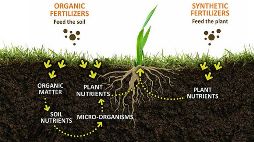 Chipo_marowah's tweet photo. Kill two birds with one stone!!
Oh yes you can actually feed both the soil and the plant at the same time using organically enriched fertilizers from Orgfert.
#Orgfert. Harvest with pride# https://t.co/crSQBcsnf6