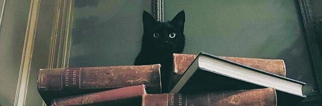 Tomriddle_L's tweet photo. แมว?
ในห้องสมุด? https://t.co/AU8faPhFq4