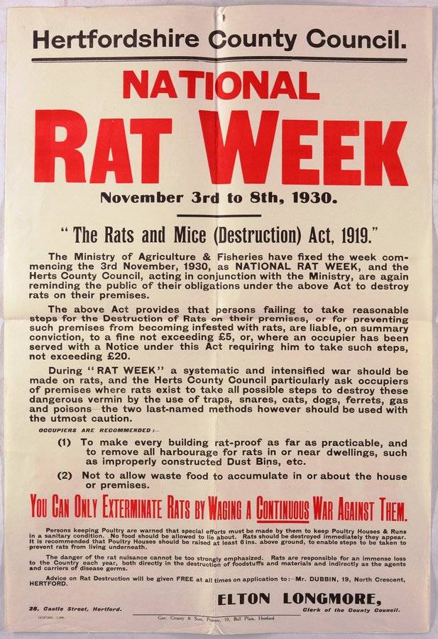 HertsArchives's tweet photo. #OTD 1930 National Rat Week began with the intention of reducing rat population numbers.
#ratsandmice #discoverarchives #historicposters #ratcatching https://t.co/0sdQmzmT0J